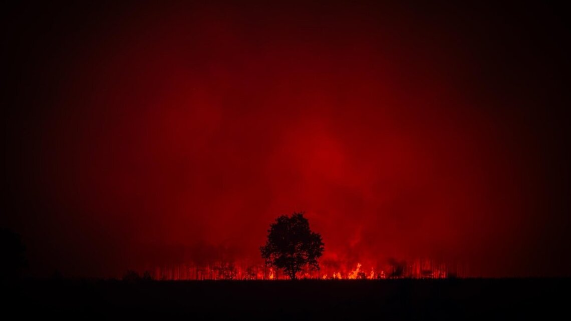 Flames threaten Bordeaux as deadly wildfires rage in France and Spain 