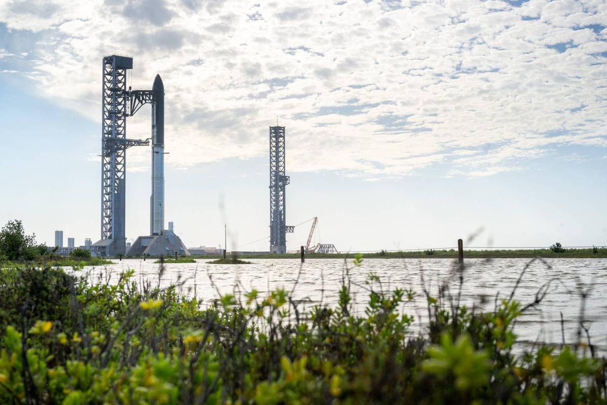  "...so that I can fly to the moon or Mars!" says Wood about Musk's vision 