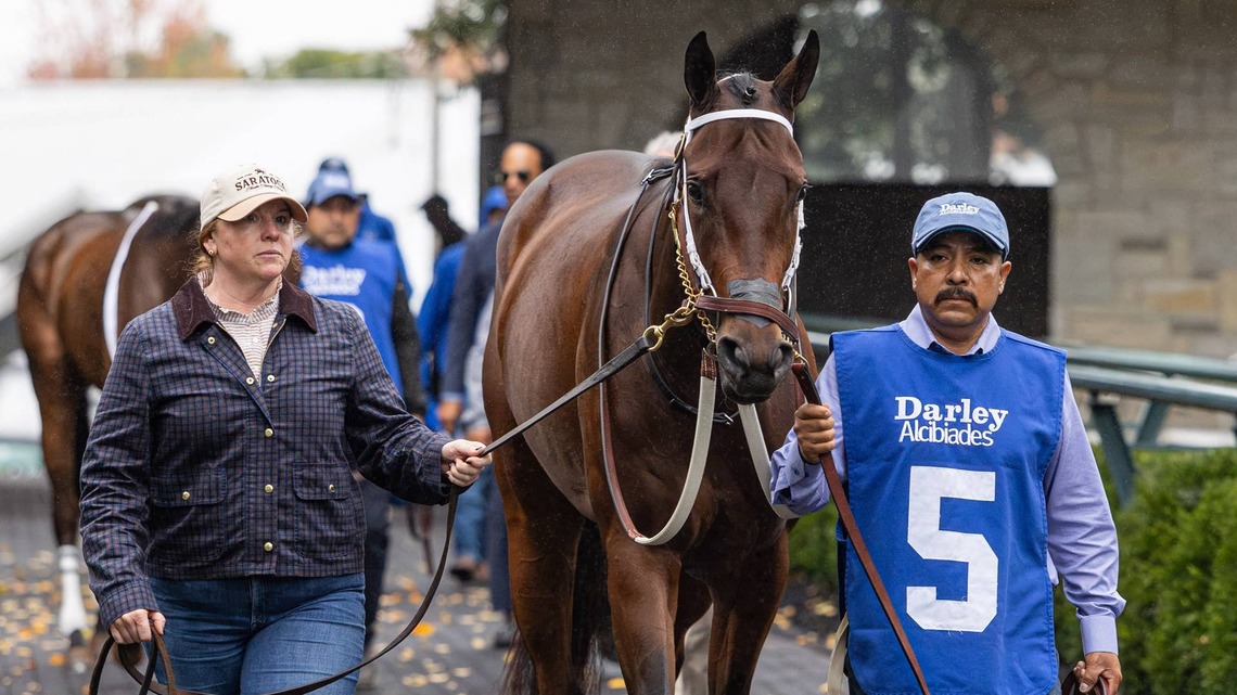 Report: Tendon Inflammation Takes Summer Starlet Out Of Breeders' Cup 