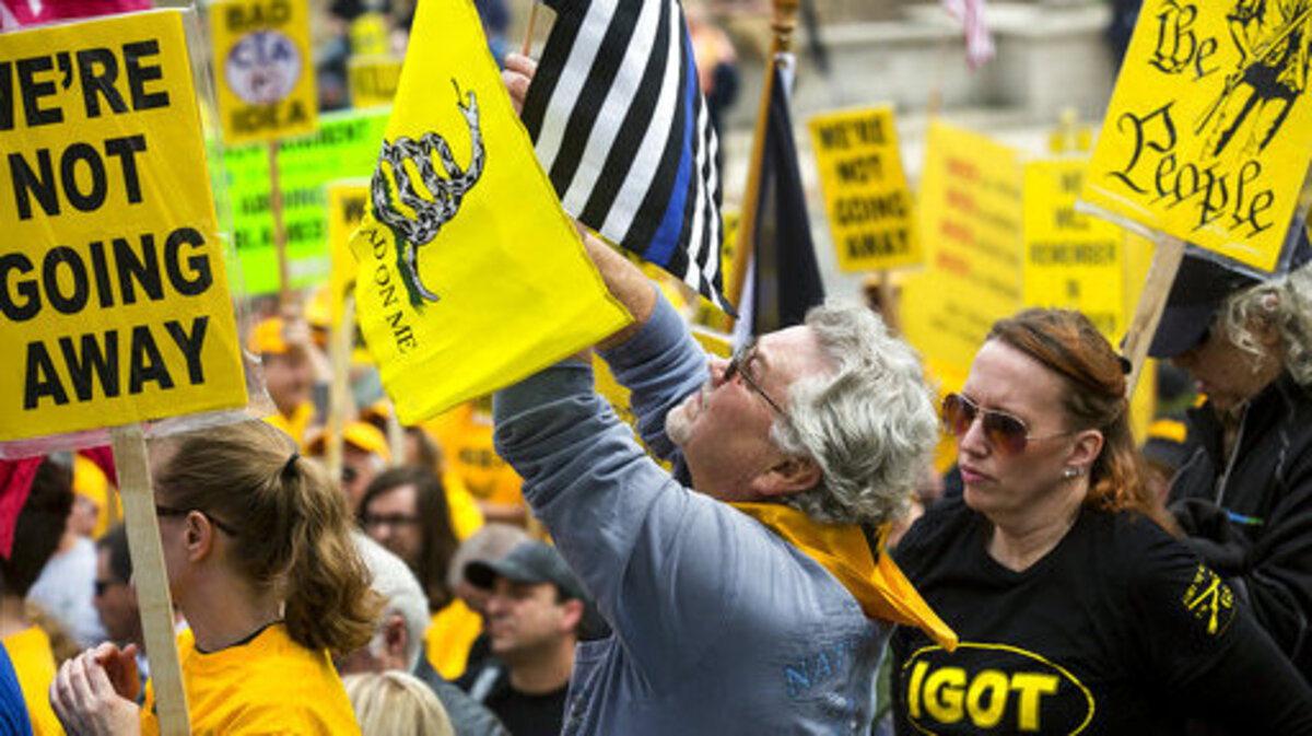 Dave Fitzgerald, of Girard, waves flags while  listening to speakers April 25 during the annual IGOLD (Illinois Gun Owners Lobby Day) rally in Springfield. A growing number of rural counties in Illinois are standing up for their rights as gun owners, and to do it, they've co-opted a word that to conservatives represents nothing more than a liberal policy to skirt the law: sanctuary.