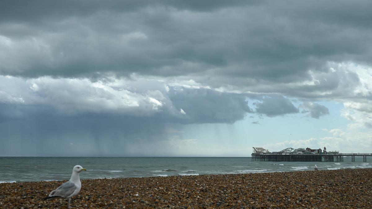 A bird stands on the beach near Brighton Palace Pier, after Sussex Police announced the bodies of three women were recovered from the sea early this morning, in Brighton, East Sussex, Britain, May 13, 2026. REUTERS/Jaimi Joy