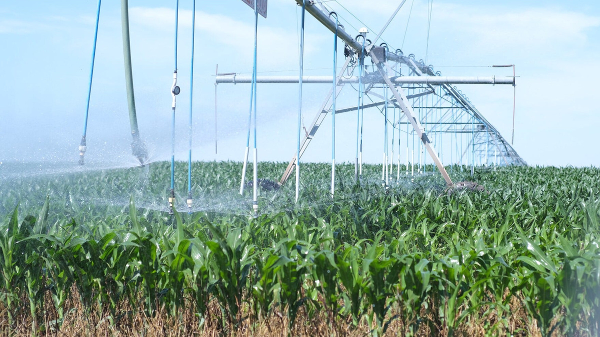 A center pivot sprinkler pumping water on crops in southwest Kansas.