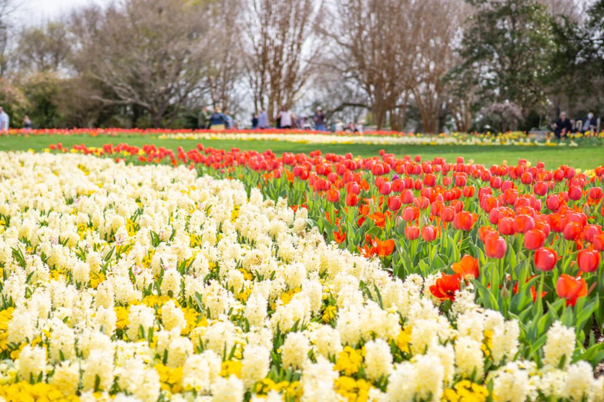  Tennessee is a beautiful combination of things to do year-round and seasonal events and festivals. Photo credit: Tennessee Tourism 