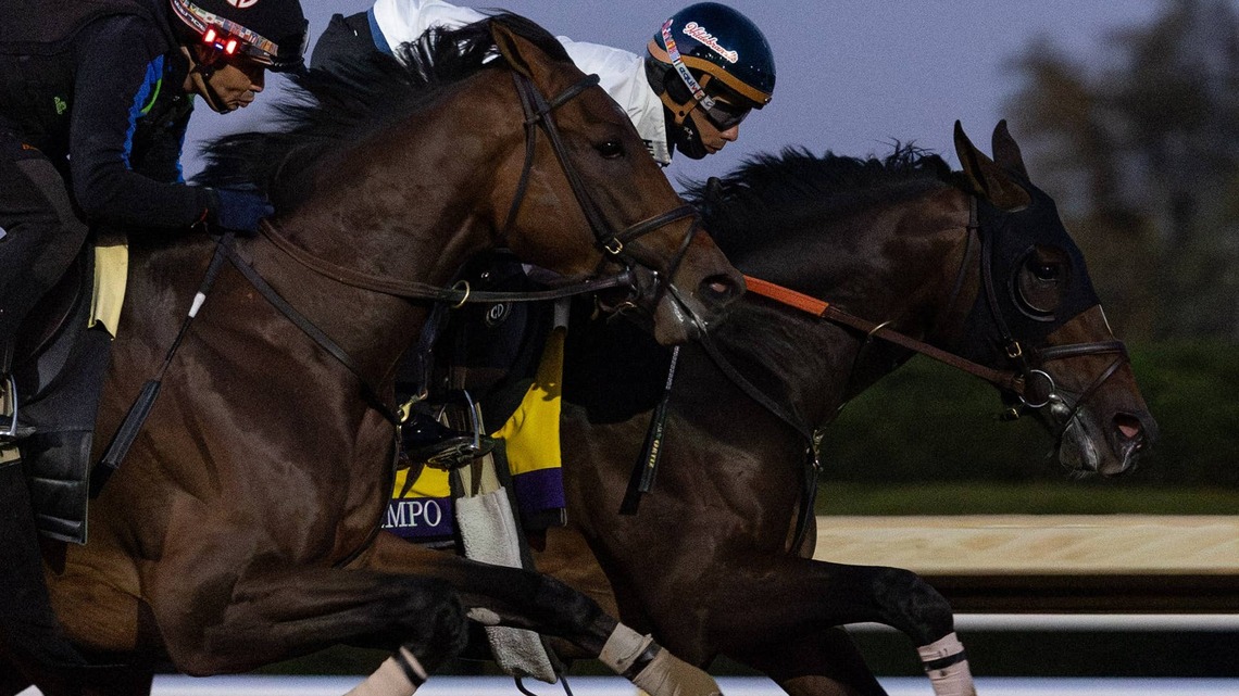‘Very Good': Jockey Jose Ortiz Pleased With Golden Tempo's Final Breeders' Cup Breeze 