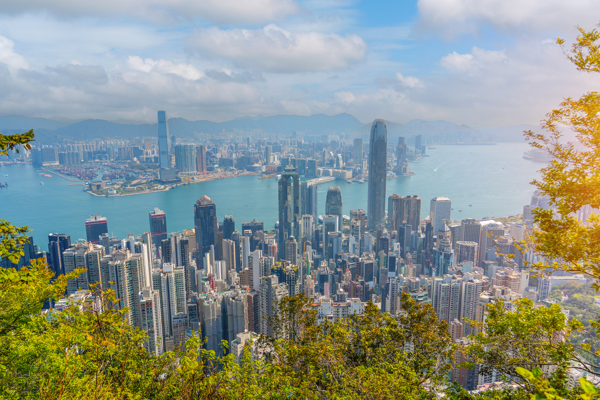  A panoramic view of the Hong Kong skyline from the top of a forest. 