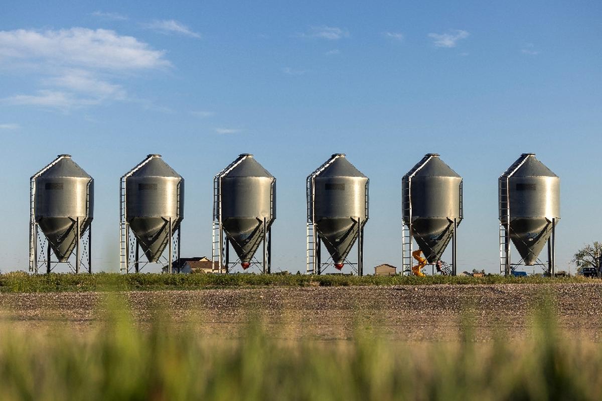Grain bins in Weld County, Colorado, U.S., May 11, 2026.  REUTERS/Kevin Mohatt