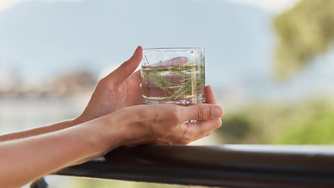 Hard seltzer brand Palm Foly files Chapter 7 bankruptcy 