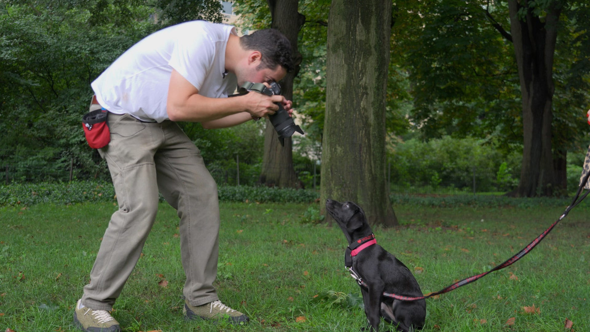 Elias Weiss Friedman, also known as The Dogist, photographs a puppy in Central Park.
