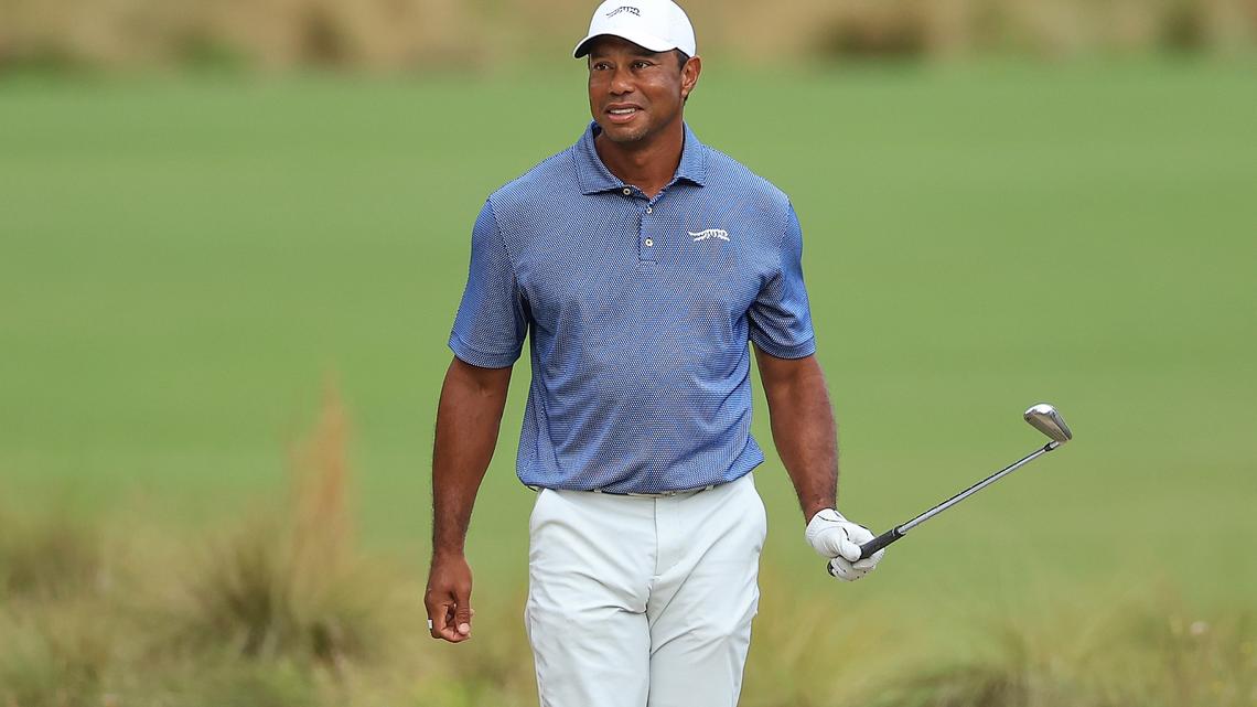 Tiger Woods' Mugshot Revealed After DUI Charge, Rollover Crash in Florida 