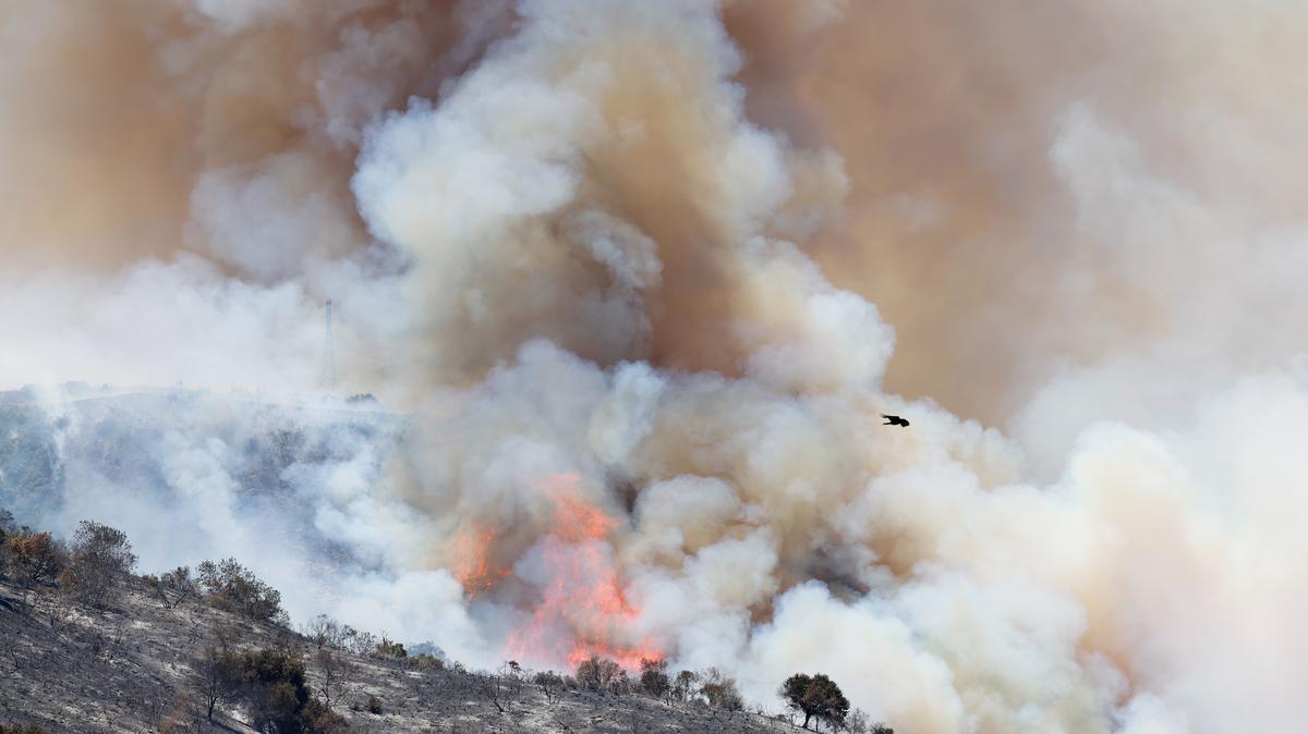 A bird flies as smoke billows from a raging Sandy fire off Redwood Grove Court on Tuesday, May 19, 2026, in Simi Valley, Calif. (Kayla Bartkowski/Los Angeles Times/TNS)