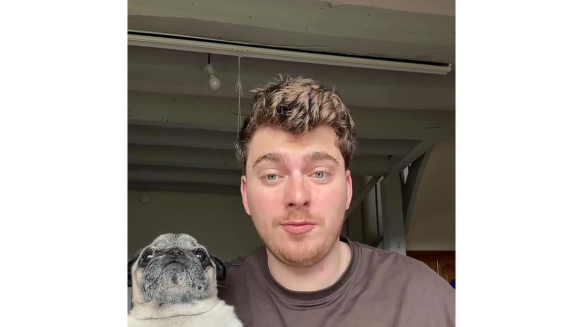 Influencer Cyril Schreiner Admits He Faked Albert the Pug's Kidnapping 