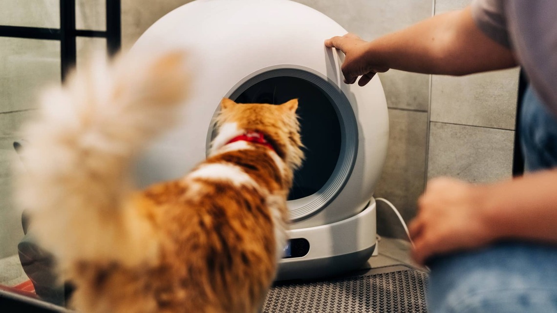 Homerunpet's Self-Cleaning Litter Box Refills the Litter, Too-Pet Parents Call It 'Life-Changing' 