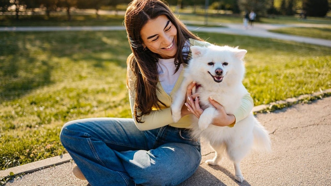 7 Heartwarming Signs Your Dog Sees You as Their Human Family, According to an Expert 