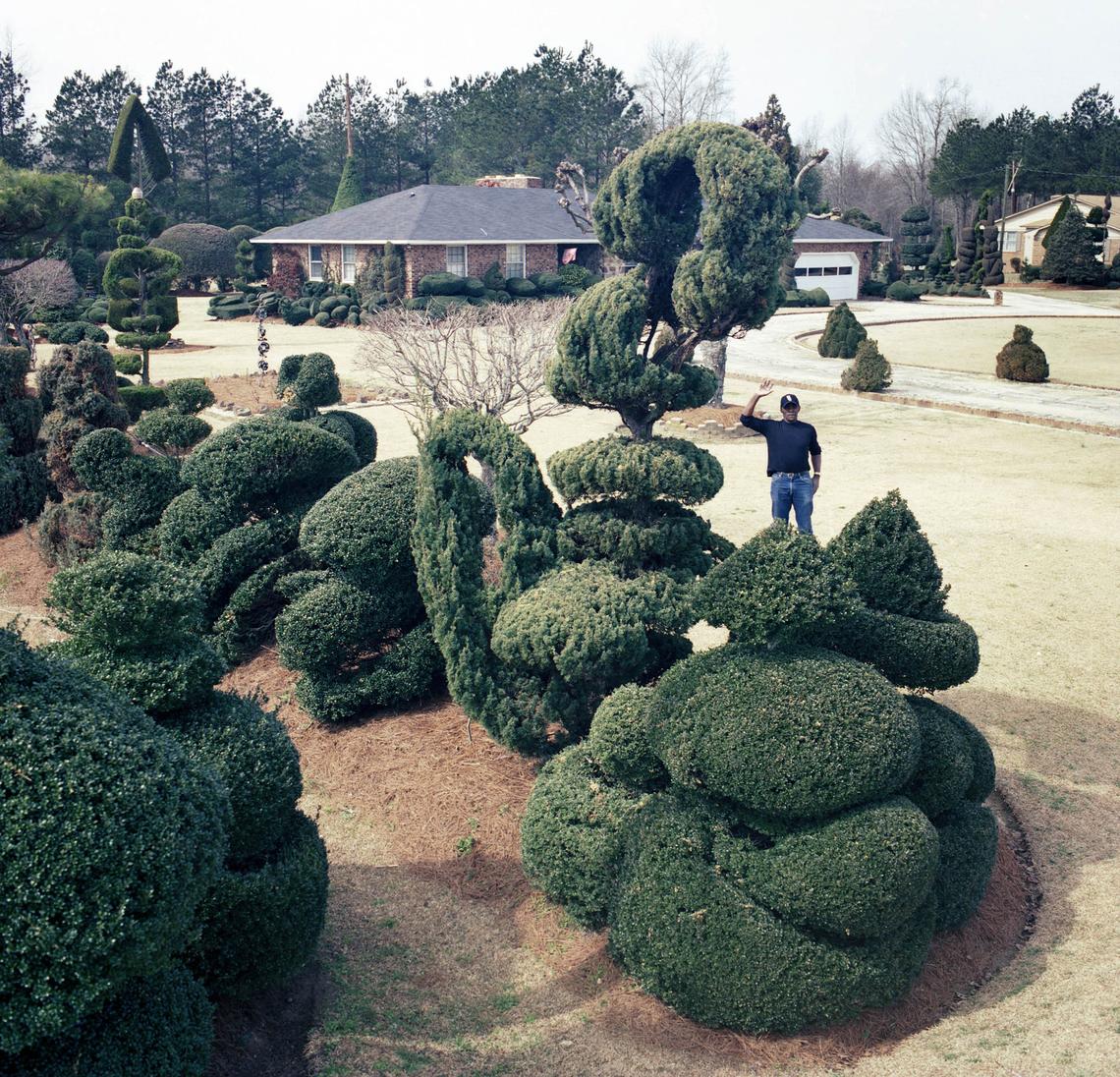 FILE -- Pearl Fryar, a self-trained topiary artist, at work in his yard in Bishopville, S.C., on March 9, 2005. Fryar, a charismatic factory worker and self-taught topiary artist who turned a former cornfield in South Carolina into a world-famous garden featuring shrubs and trees that he coaxed into towering Seussian swirls, enticing Cubist forms and other uncanny shapes, drawing pilgrims from around the globe and raising the fortunes of his small community, died on Saturday, April 4, 2026, at his home in Bishopville, S.C. He was 86. (Imke Lass/The New York Times)
