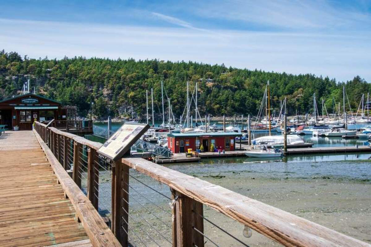  Deer Harbor is a base for whale watching tours, sunset cruises and guided kayak excursions. Photo credit: June Russell-Chamberlin 