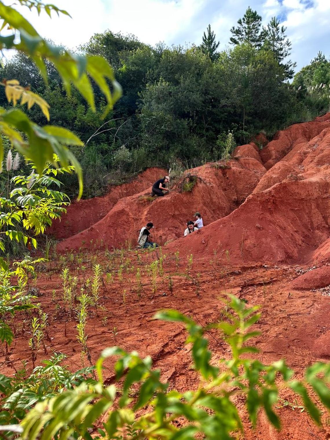  Prospecting at the fossil site. (Rodrigo Temp Müller via SWNS) 