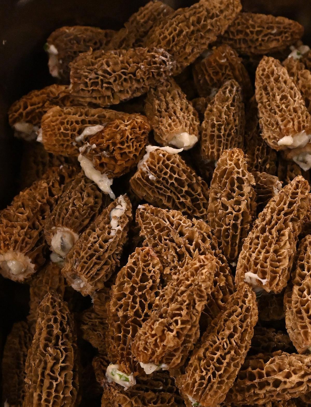 Daniel Mears/The Detroit News/TNS