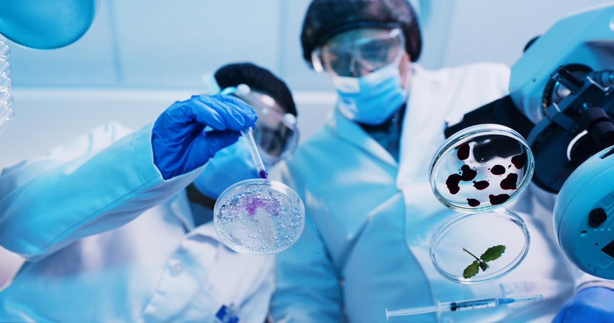  A stock image of scientists testing samples for an experiment. 