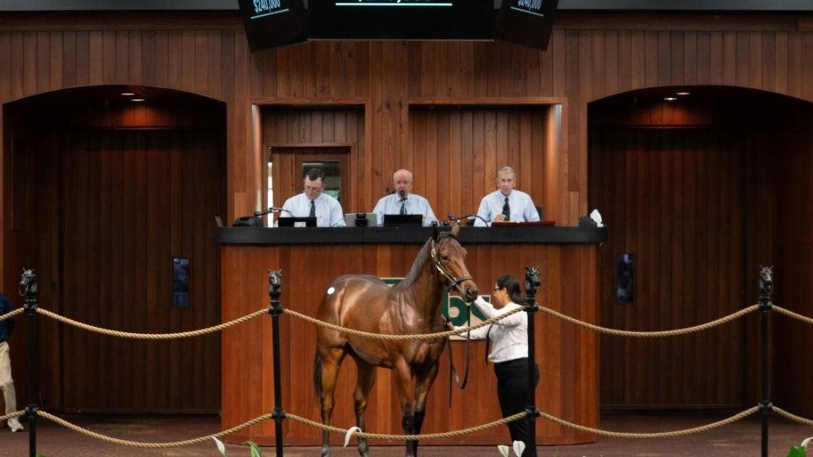 OBS October Yearling Sale Catalog Now Online 