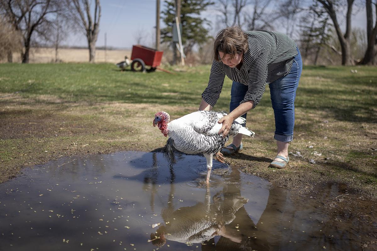 Elizabeth Flores/The Minnesota Star Tribune/TNS