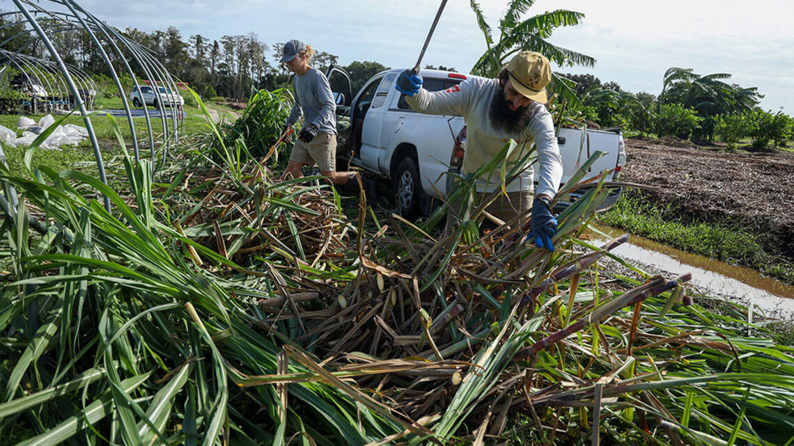 Report: US sugar demand up, corn syrup down, as consumers pick less processed foods