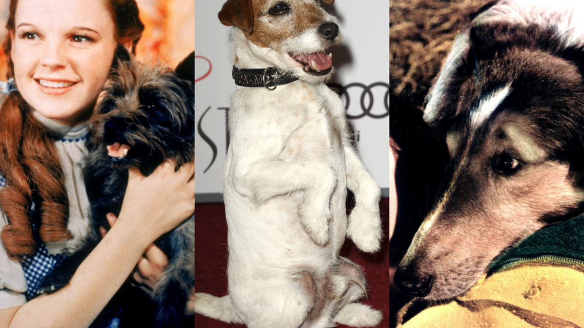 This Classic Film's Canine Star Was Named the 'Best Movie Dog of All Time' 