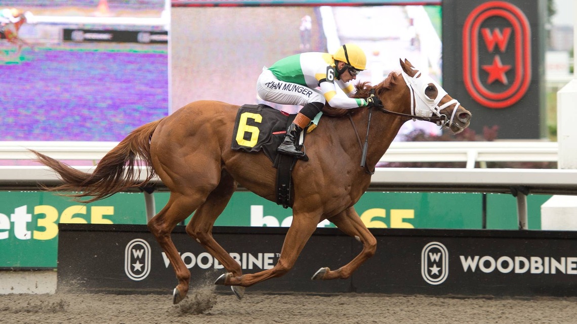 Powell River Gets Back On Turf In Toronto Cup Stakes 
