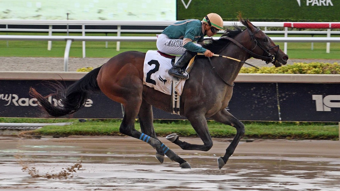 Patrick Biancone Trainee Diciassette Makes Turf Debut In Bear's Den Stakes 