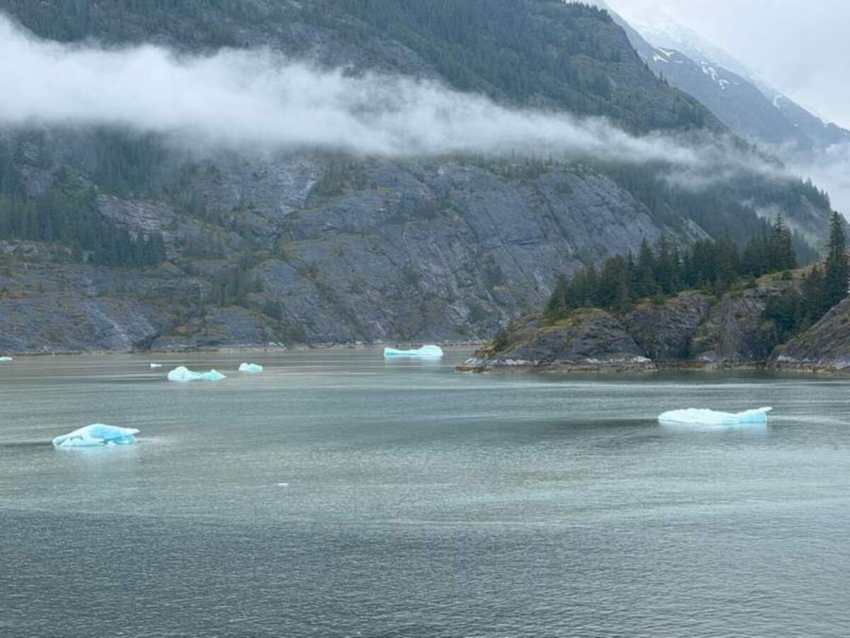  Waking up to this view in Endicott Arm was one of the most peaceful and awe-inspiring moments of the trip. Photo credit: Emily Molina 