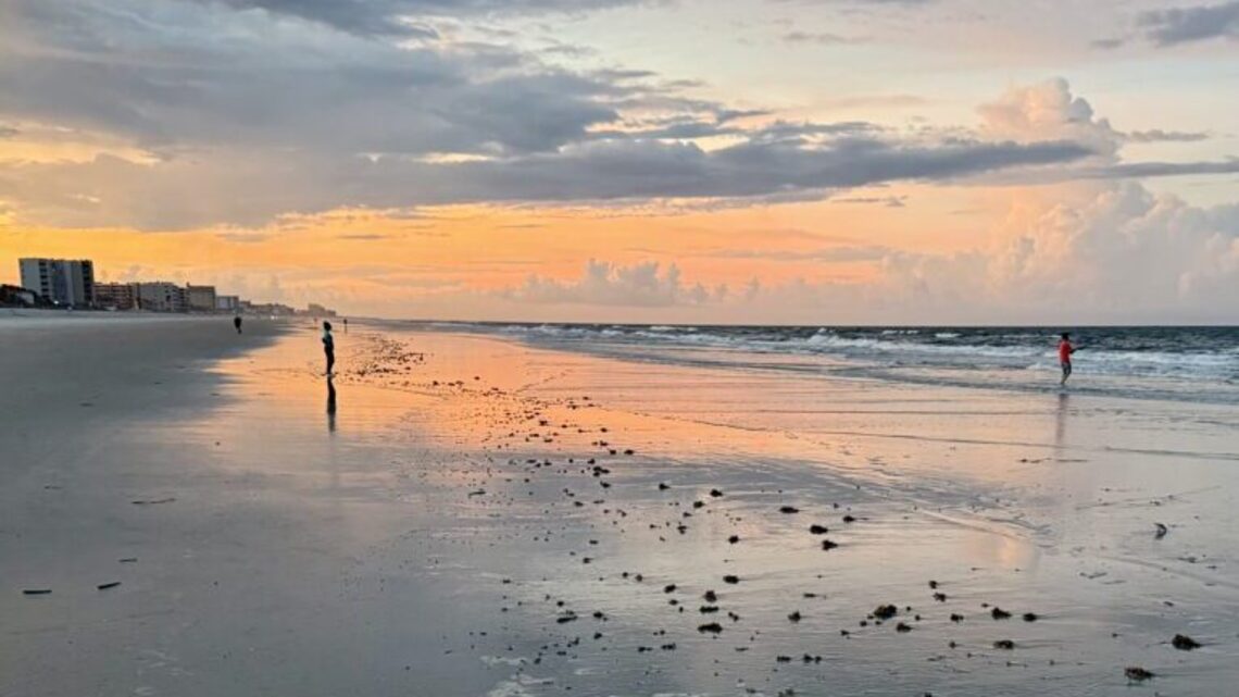 Old Florida Vibe, Modern Flavors: Why New Smyrna Beach Belongs on Your Radar 
