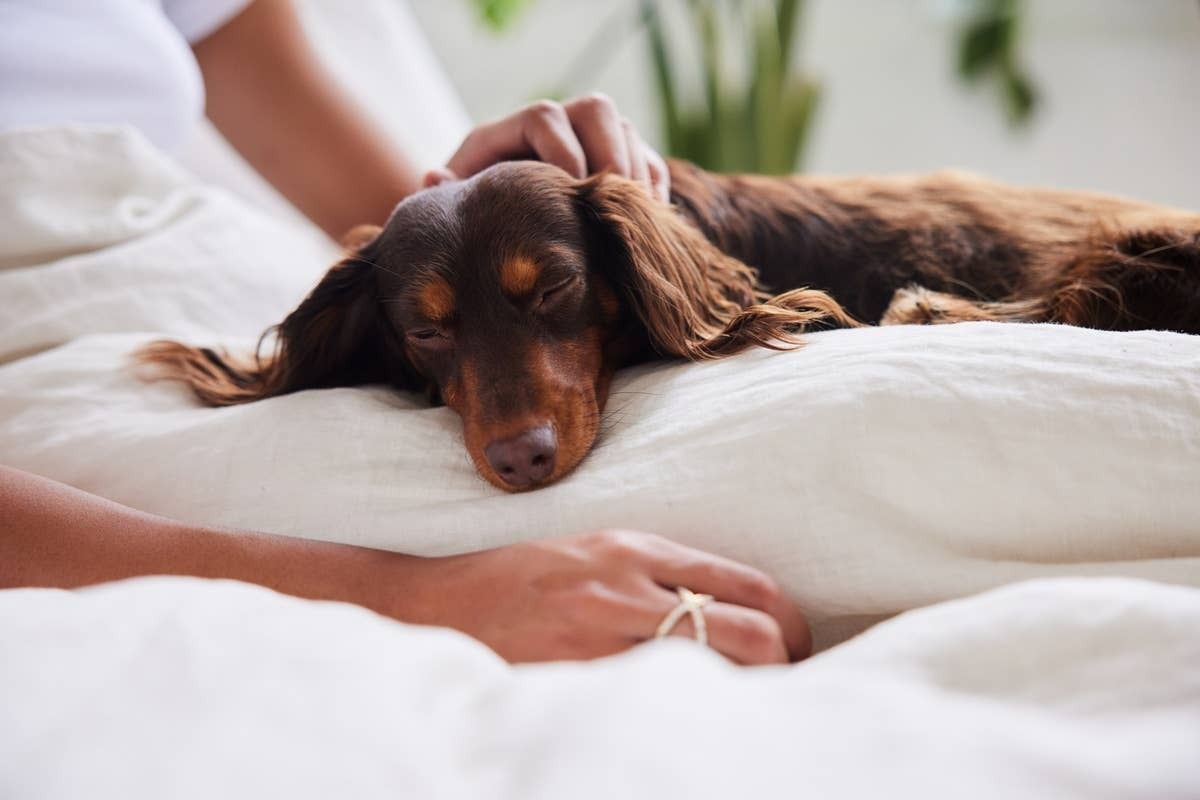  Sometimes the sweetest signs of love are the quiet ones that show up at bedtime.