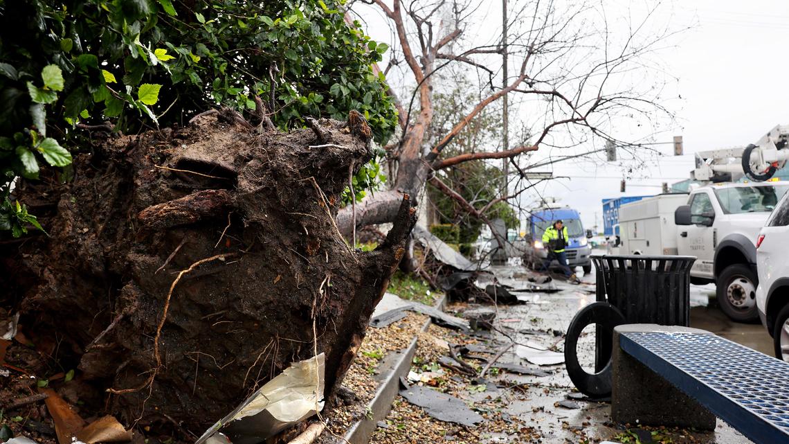 A utility worker walks near an uprooted tree after a possible rare tornado touched down and ripped up building roofs in a Los Angeles suburb on March 22, 2023, in Montebello, California. (Mario Tama/Getty Images/TNS)