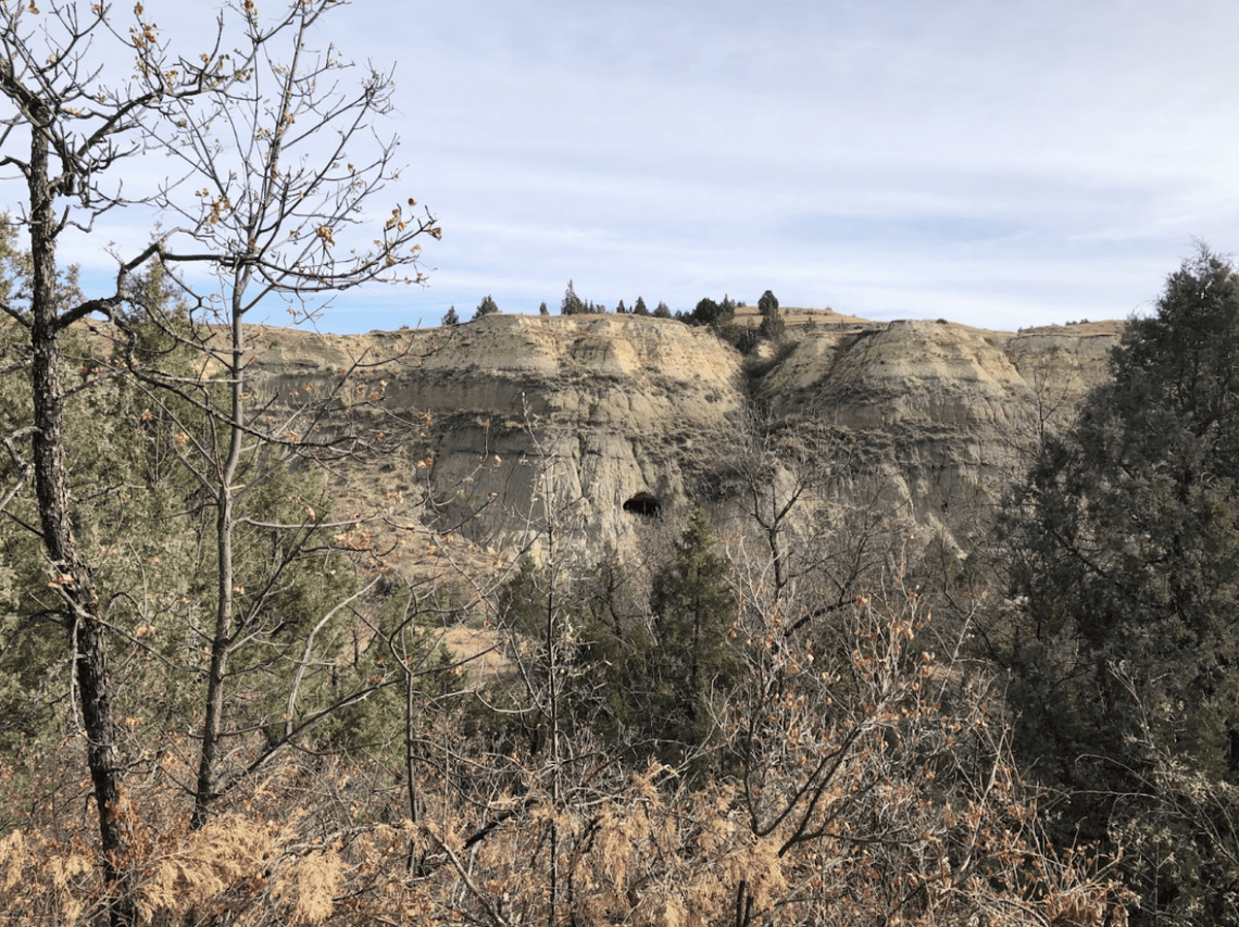  Shannon Straight // Badlands Conservation Alliance 