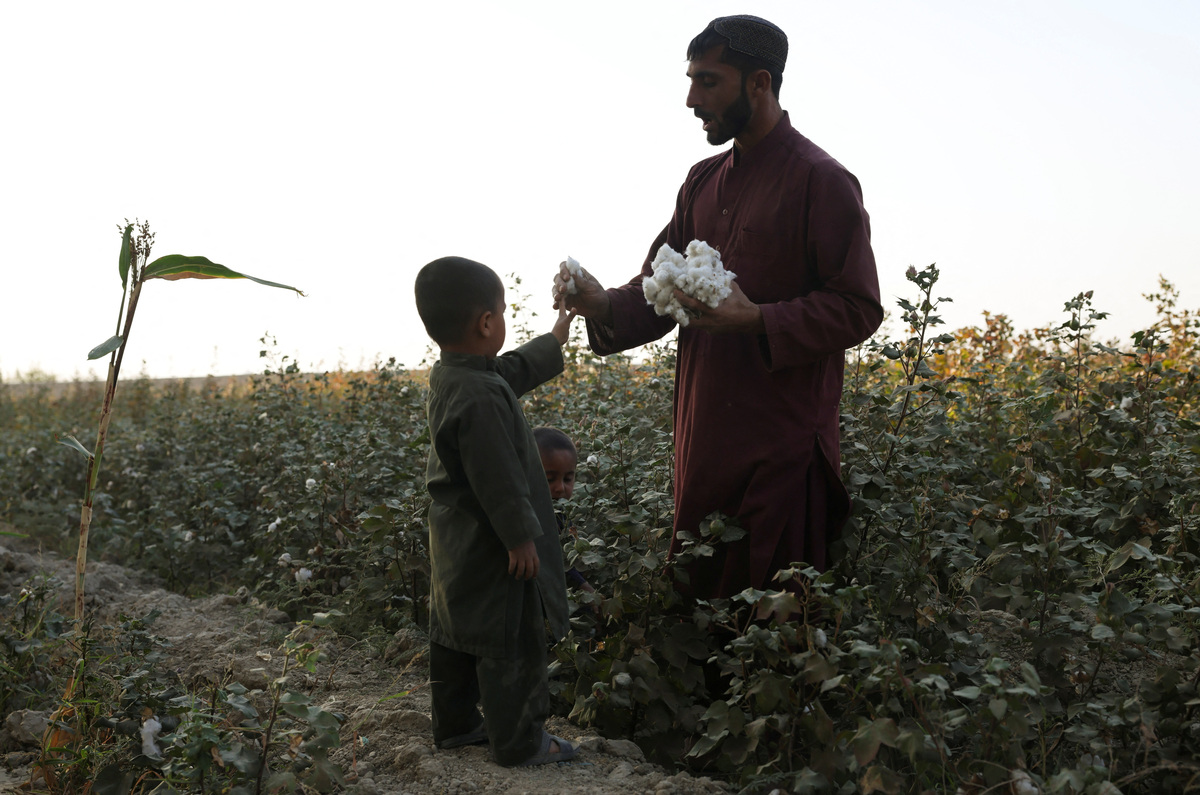 Taliban's poppy ban falters as Afghan farmers say they can't feed their ...