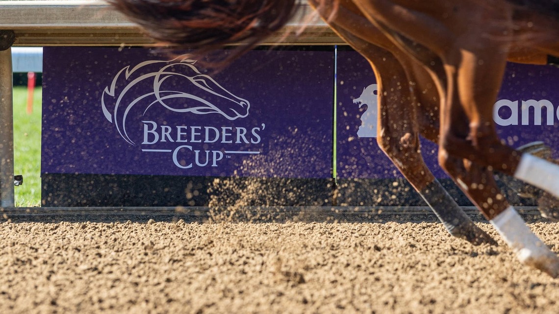 Breeders' Cup Friday Card Handle Down 14 Percent 