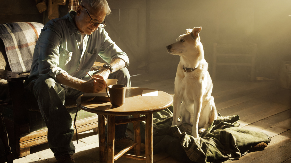 Mark Harmon mulled killing Gibbs on 'NCIS.' Now, at 75, he's back in ...