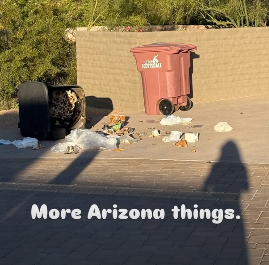  Danica Patrick's house problems. 