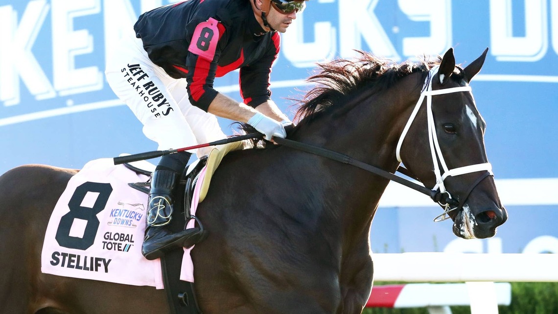 Share In Graded Winner Stellify Among Five New Entries To Keeneland November Sales 