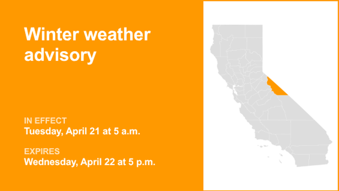 unitedrobots photography