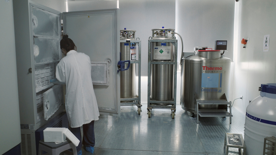 AI shortens drug discovery to around 1 year in China, Insilico CEO says 
