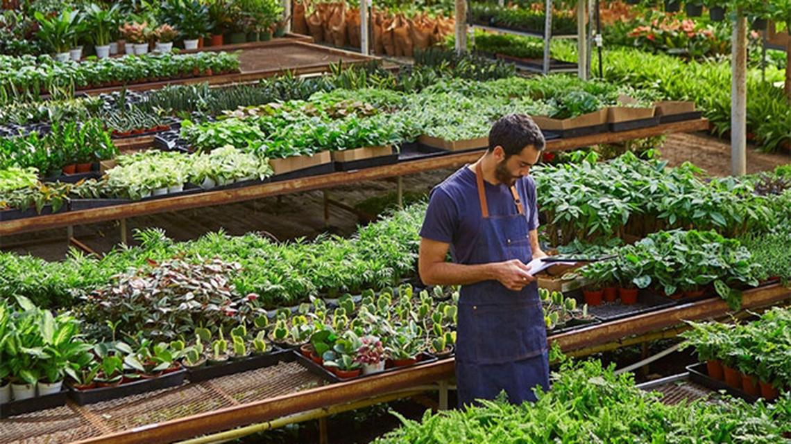 
        Gen Z Turns the Houseplant Craze into a Lifestyle Trend: Shops Thrive as Gen Z Continues to Nurture the 'Plant Parent' Trend
       