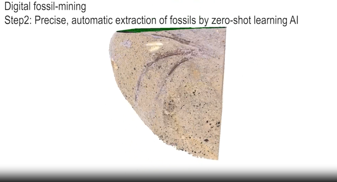  (Department of Earth and Planetary Sciences / Hokkaido University via SWNS) 