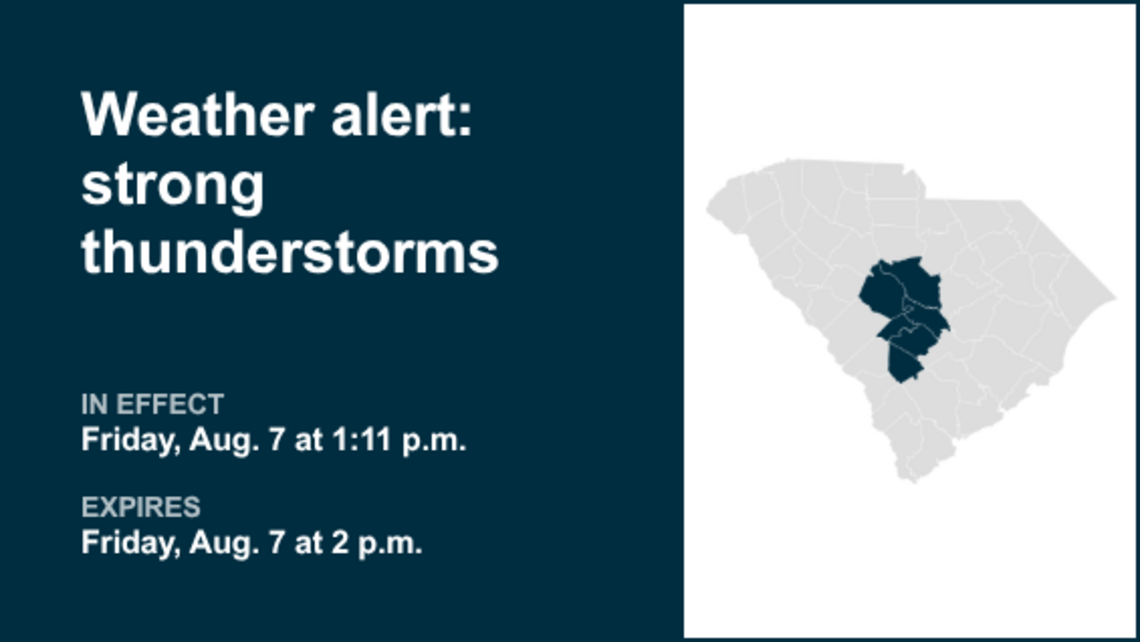 UPDATE: Weather alert affecting Pee Dee Friday afternoon - wind gusts up to 50 mph 