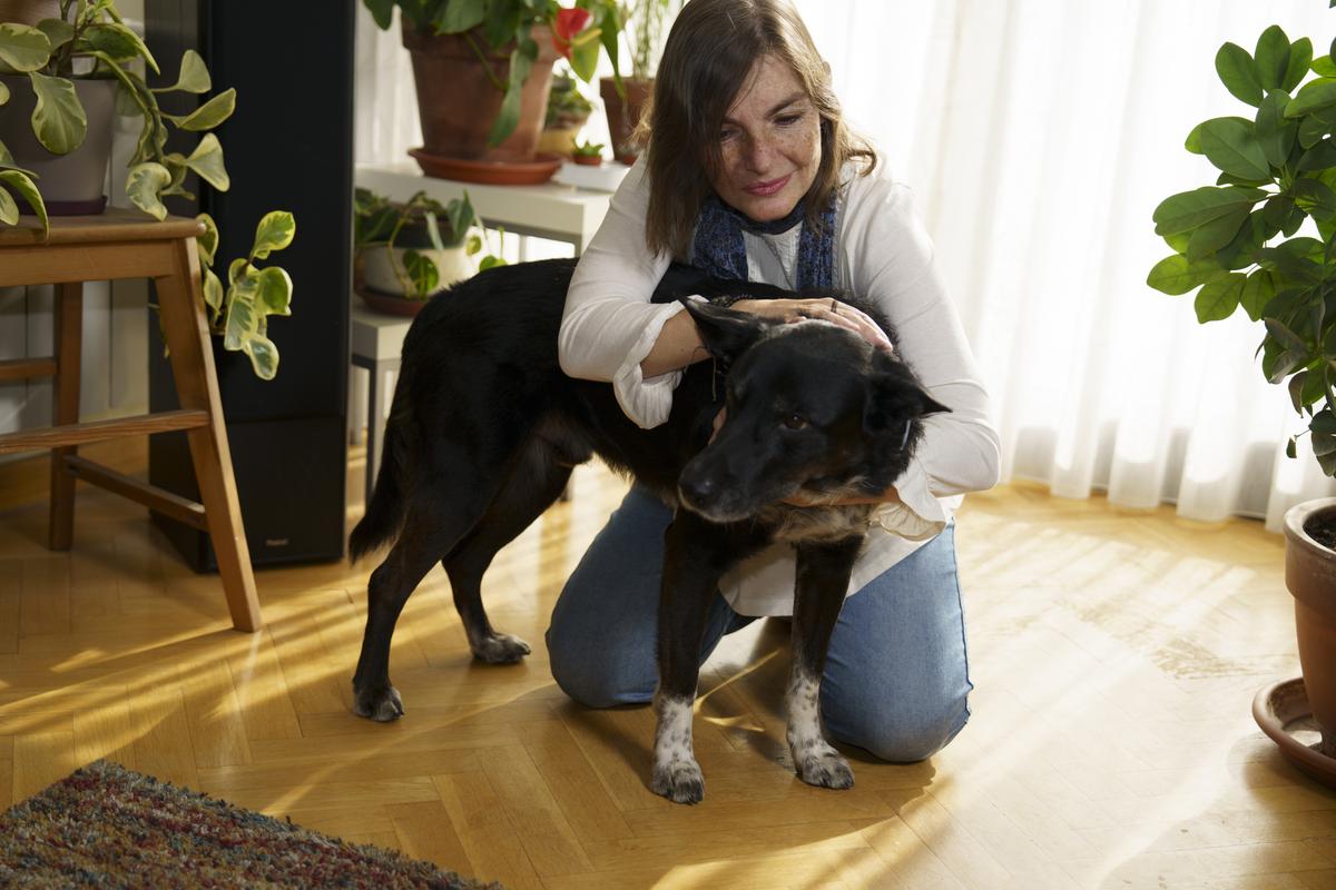  A woman kneeling on the floor, gently hugging a black dog in a sunlit room filled with plants. The atmosphere is warm and cozy, with soft shadows on the wooden floor. 