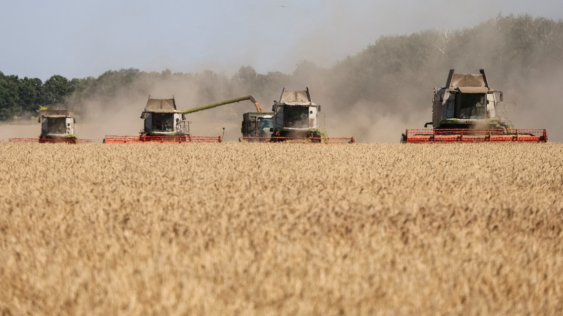 World faces fresh food price surge, FAO warns 