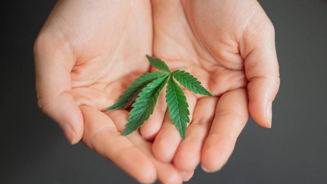 Does cannabis use raise risk of psychotic and bipolar disorders?