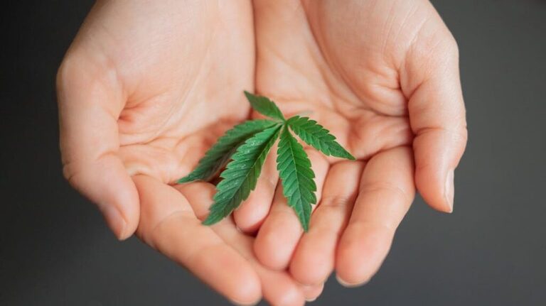 Does cannabis use raise risk of psychotic and bipolar disorders?