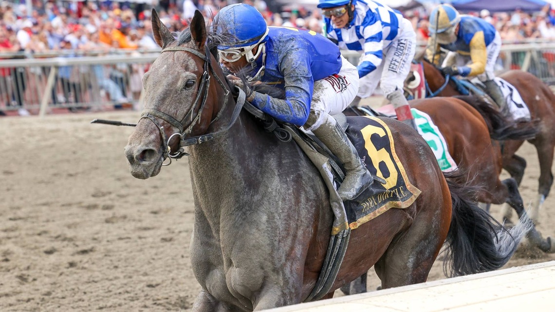 'When I Asked He Took Off': Wild Vine Upstages Bracket Buster In Parx Dirt Mile 