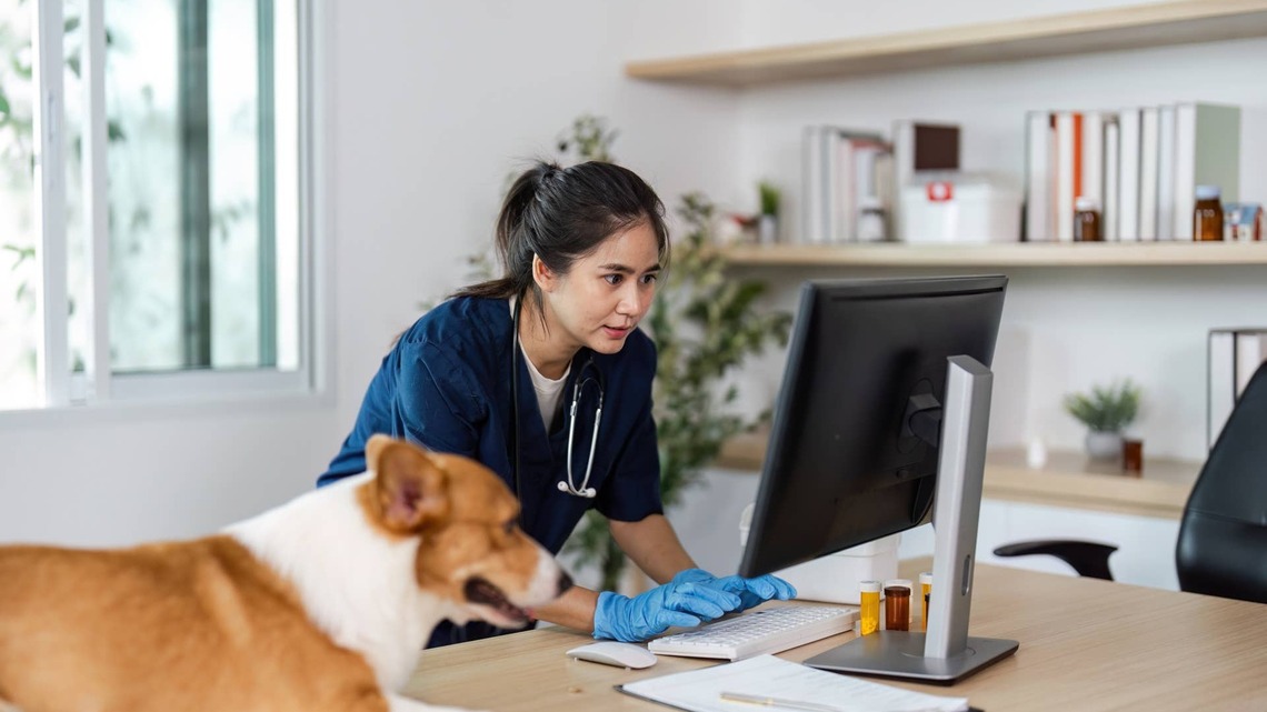 The Questions Vets Wish Every Pet Owner Asked Before Buying Insurance