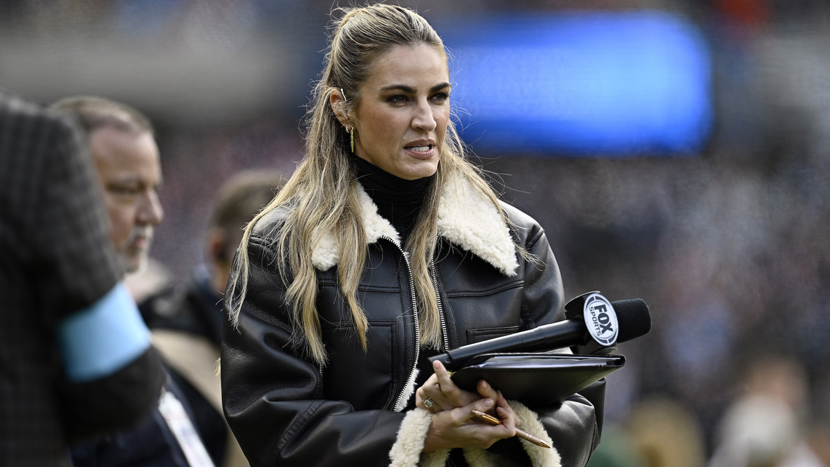 Erin Andrews 'S*** Down My Leg' While Reporting on Lions-Packers Game